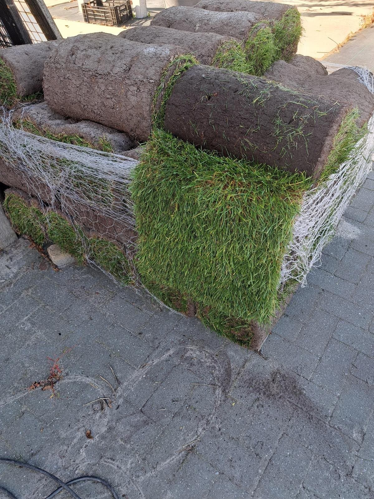 Leveren van dagverse graszoden
