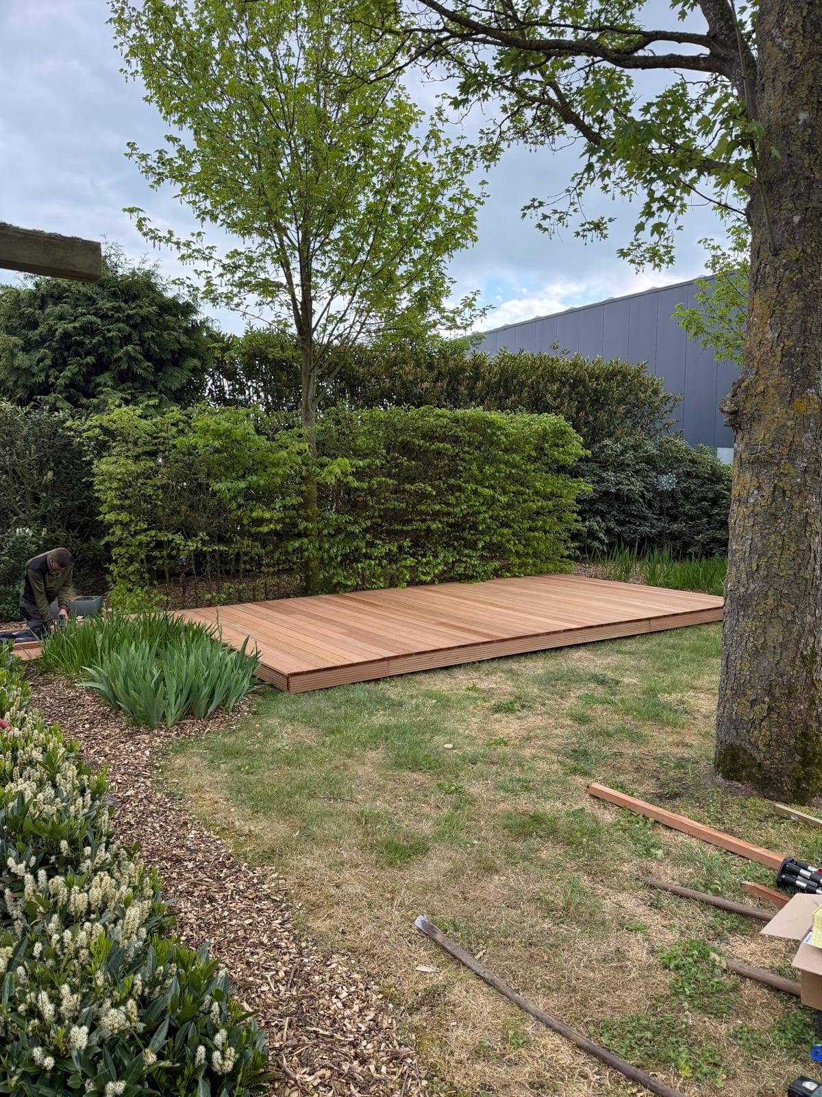 Verhoogde Bangkirai-vlonder in een groene tuin in Heerenveen, aangelegd als onderdeel van een complete tuinrenovatie.